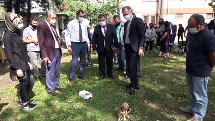 İnegöl Belediyesi okullara köpek sahiplendiriyor