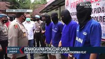 Detik  Detik Pengedar Ganja Cimahi Ditangkap