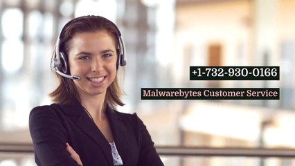 Malwarebytes Customer Support (151O-37O-1986) Service Phone Number