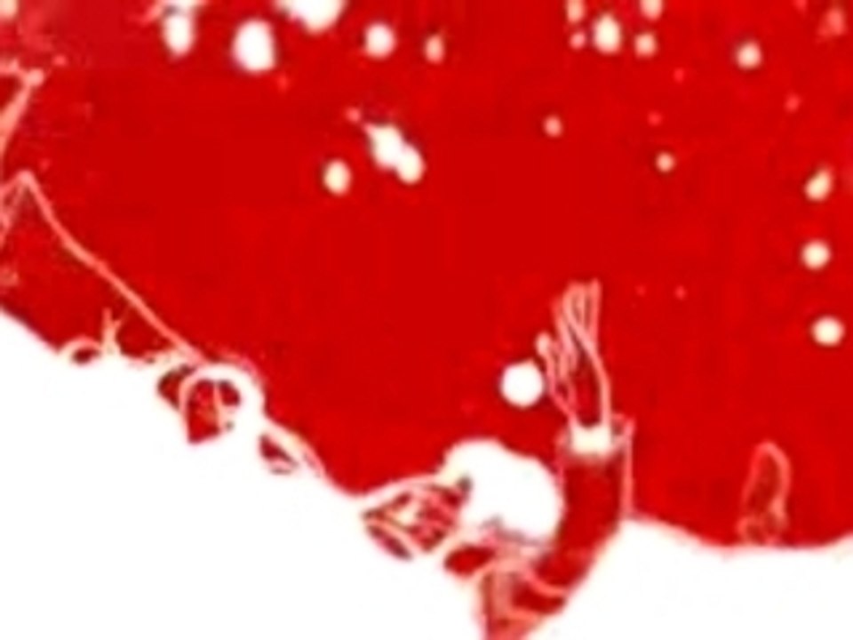 The New Pornographers - Myriad Harbour