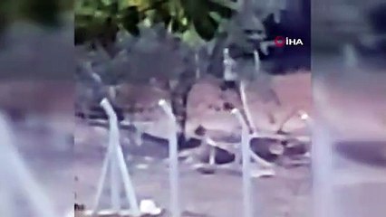 Hayvanları koruma gününde akıl almaz görüntüler