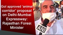 GoI approved ‘animal corridor’ proposal on Delhi-Mumbai Expressway: Rajasthan Forest Minister