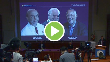 Premio Nobel de medicina a los descubridores de la hepatitis C