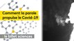 Covid-19 : des chercheurs analysent comment la parole propulse le virus