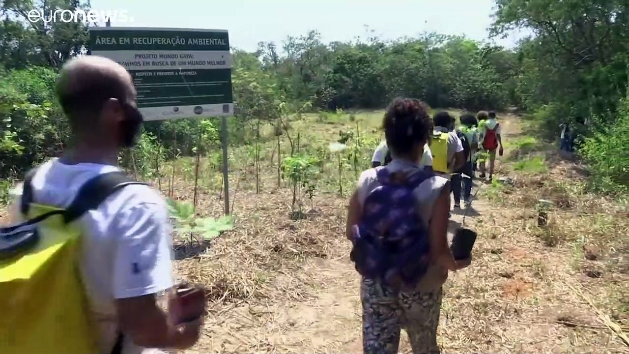 Brasilien: jugendliche lernen durch wiederaufforstung