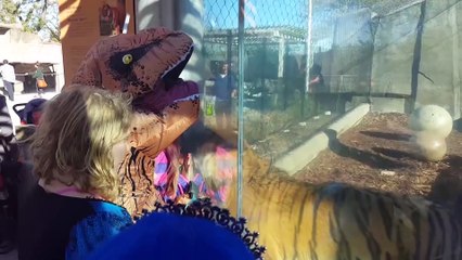 UNEXPECTED Animal ATTACKS! - AFVs Wildest Animal Moments