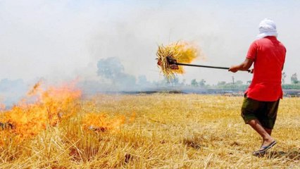 Satellite images show early stubble burning in Punjab