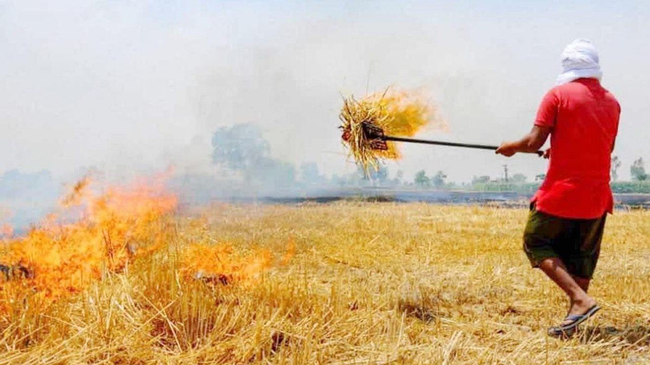 Satellite images show early stubble burning in...
