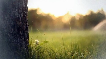 A vendre - Appartement - Bulle (1630) - 3.5 pièces - 82m²