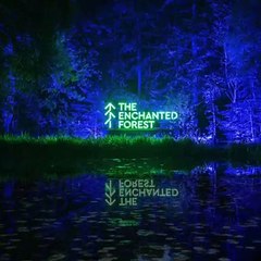 The Enchanted Forest