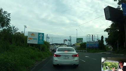 Census & Small Ferret in Japan