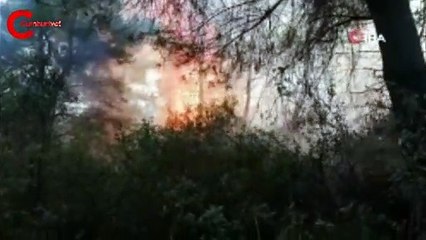 Kocaeli'nin Gebze ilçesinde ormanlık alan alevlere teslim oldu