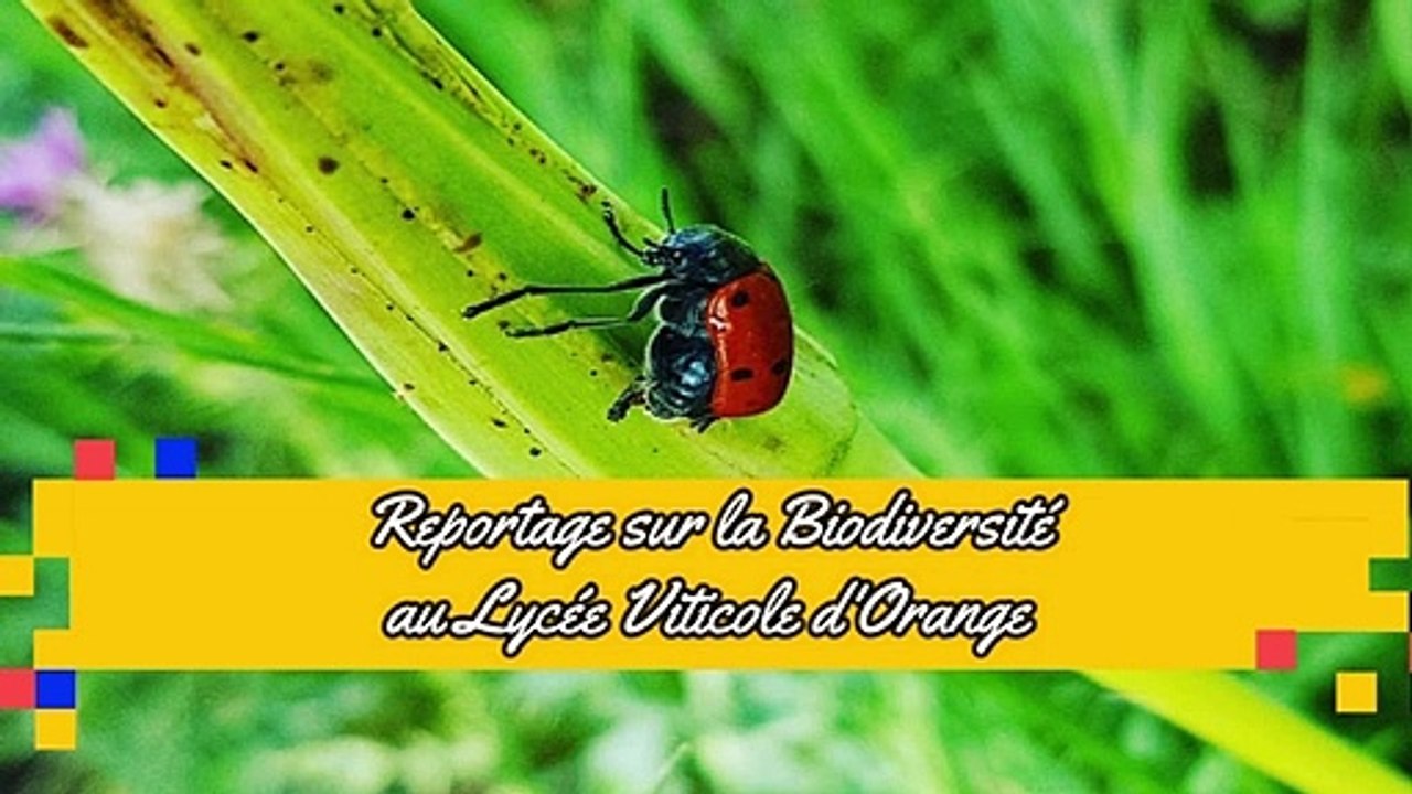 Reportage biodiversite au Lycée Viticole