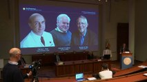 Hárman kapták az idei orvosi Nobel-díjat