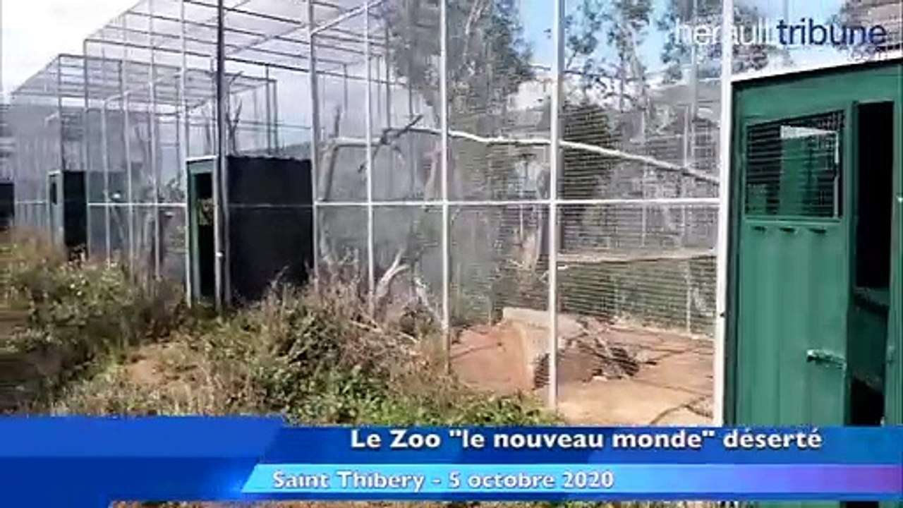 SAINT THIBERY - Le zoo est déserté