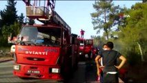 Antalya'da ormanlık alanda yangın
