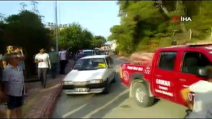 Antalya'da ormanlık alanda yangın