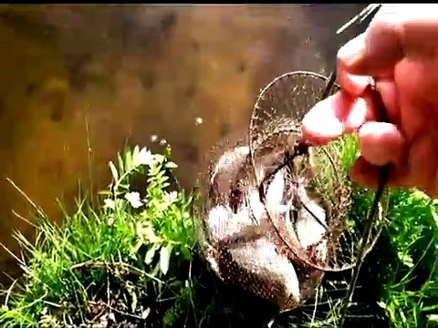 Делаем эффективные снасти своими руками