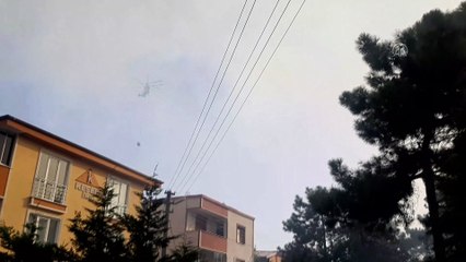 Çıkan orman yangını söndürüldü - KOCAELİ