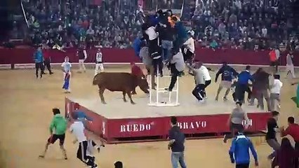 Toros Furiosos en las calles