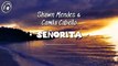 Señorita (Lyrics) - Shawn Mendes, Camila Cabello