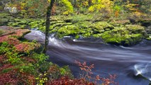 Bolton Strid: England's Killer Creek That Swallows Victims Whole