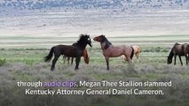 'SNL' Megan Thee Stallion Slams Kentucky AG With 'Savage' Performance