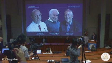 Nobel de Medicina 2020 a tres virólogos por descubrir el virus de la hepatitis C
