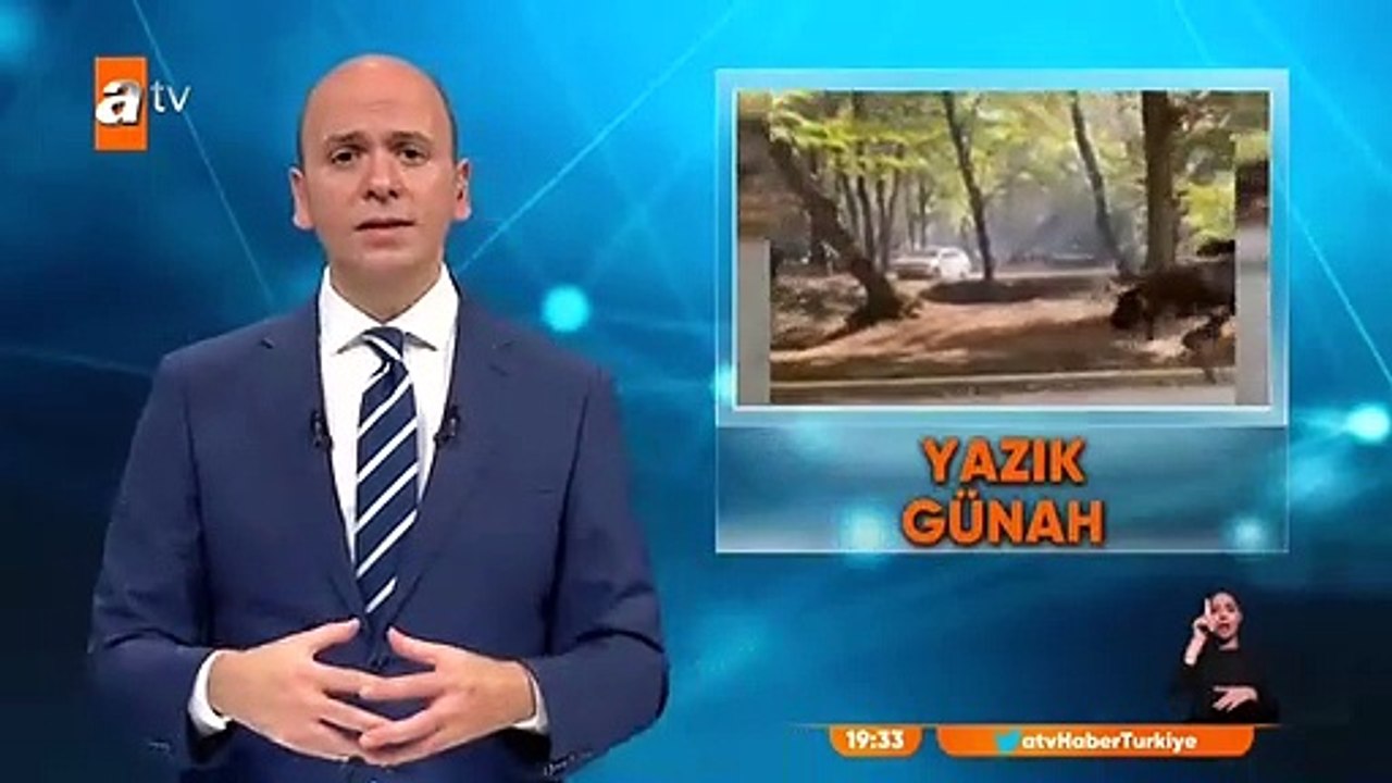 Pitbull dehşeti!