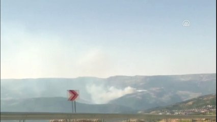 Orman yangınında 10 dönüm alan zarar gördü - KARAMAN