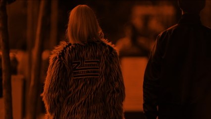 ZHU - Risky Business