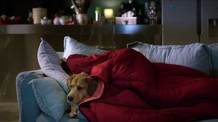 Yves (2019) - Bande annonce