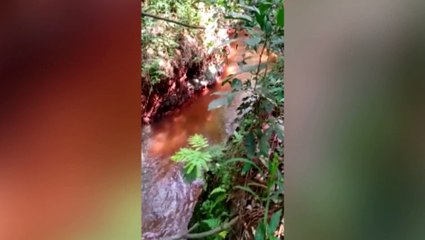Esgoto desagua em rio no Angra dos Reis e morador reclama