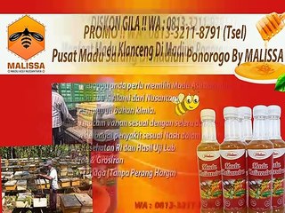 PROMO !! WA : 0813-3211-8791 (Tsel)	Produsen Jual Madu Asli Terdekat Di Madiun Ponorogo By MALISSA,