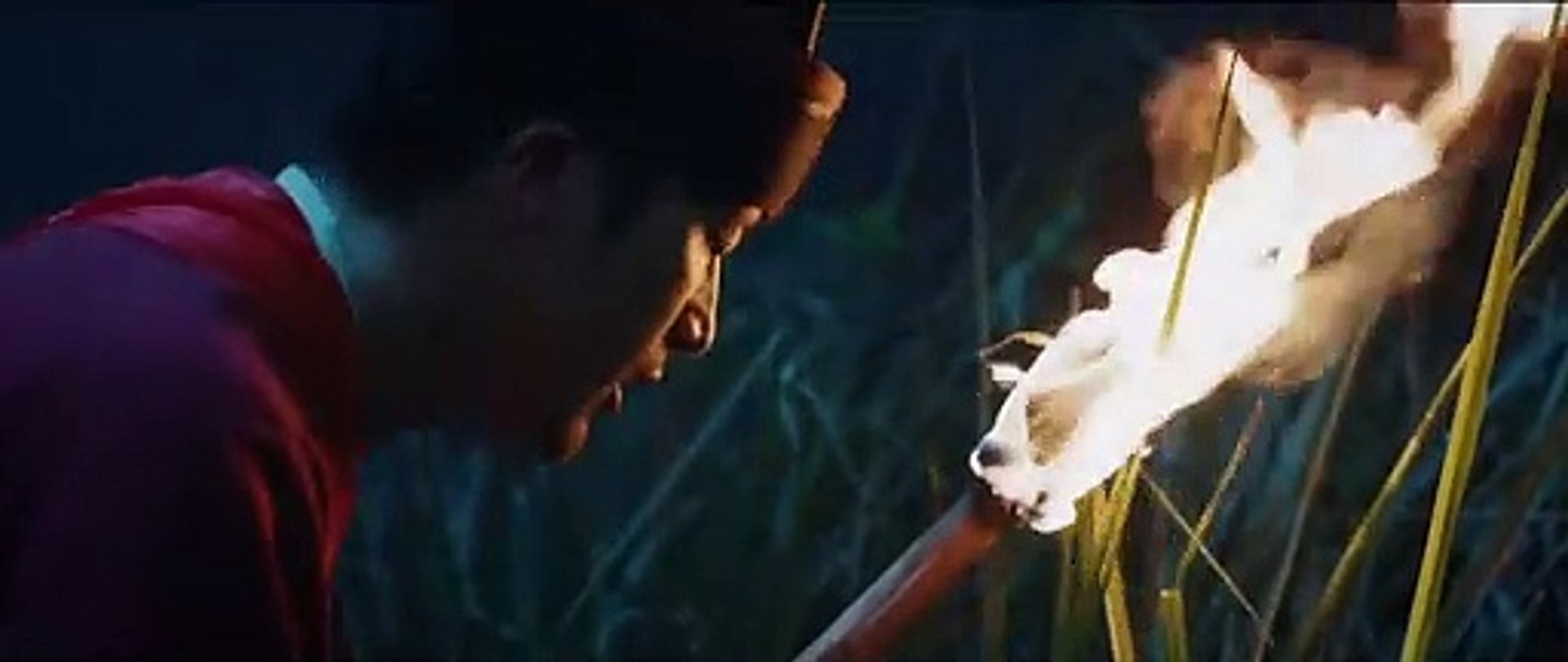 《伏虎武松》深夜老虎劫亲_畜生也想娶妻_