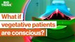1 in 5 vegetative patients is conscious. This neuroscientist finds them.