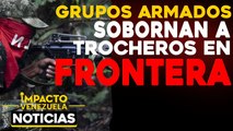 Grupos armados sobornan a trocheros en frontera |  NOTICIAS VENEZUELA HOY octubre 6 2020