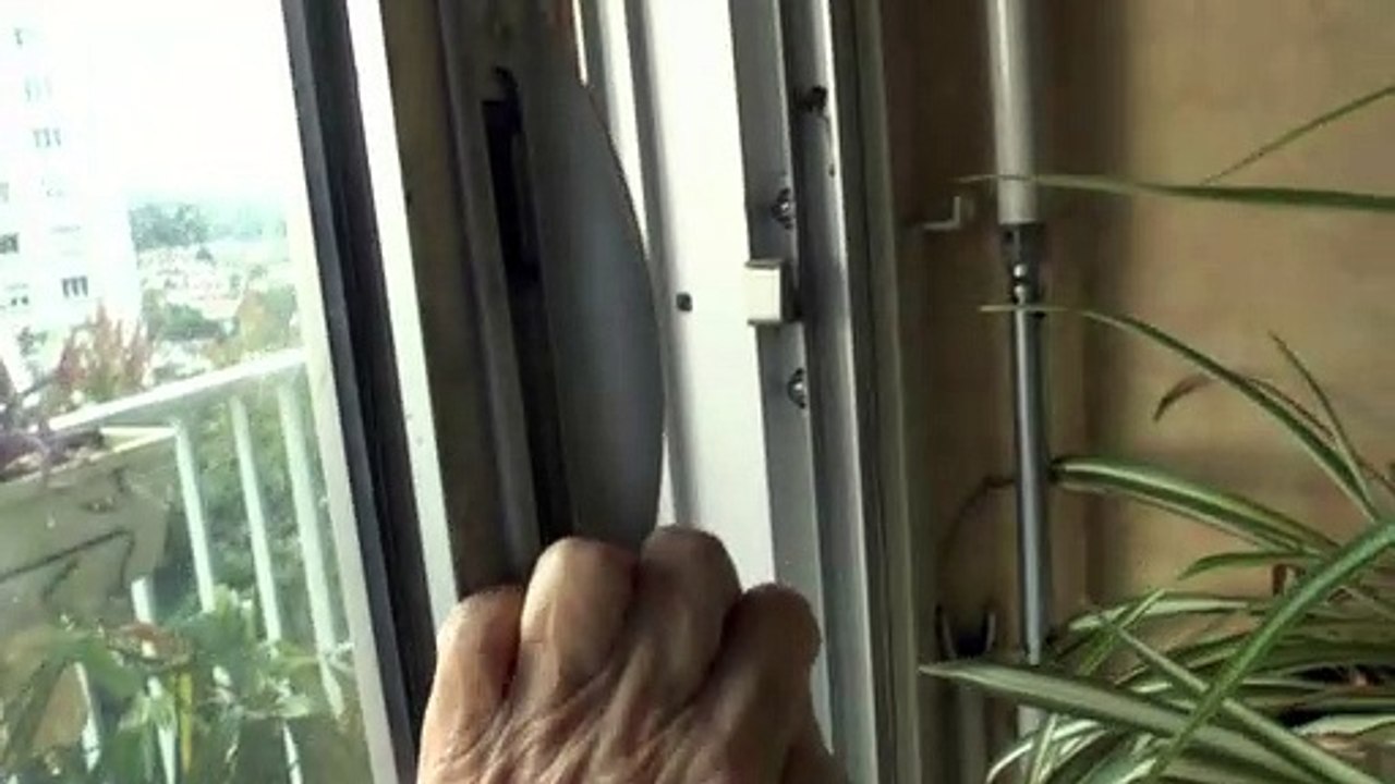 LES W-D.D. MICHOU64 NEWS - 3 ET 4 OCTOBRE 2020 - PAU - LA CHAÎNE DES PYRÉNÉES ET RÉINSTALLATION DES PLANTES SUR LE BALCON