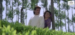 Hum Teri Mohabbat Mein | Phool Aur Angaar (1993)| Mithun Chakraborty | Shantipriya | Sadhana Sargam | Kumar Sanu Hits