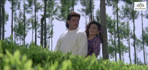 Hum Teri Mohabbat Mein | Phool Aur Angaar (1993)| Mithun Chakraborty | Shantipriya | Sadhana Sargam | Kumar Sanu Hits