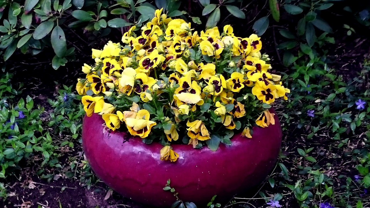 Sausuhlensee im Frühling Berlin, Musik: Camping - No Drums by Summer camp