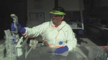 Alemania vuelve a superar los 2.600 contagios en un día