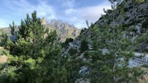 Road Trip Corse  Zonza - Solenzara - Pinarellu