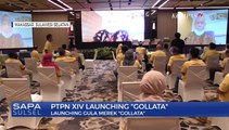 Launching Produk Gula Gollata, Penjualan Pertama Produk Pabrikan PTPN XIV Secara Retail