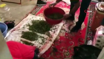 Çatıyı esrar üretim üssüne çevirmişler
