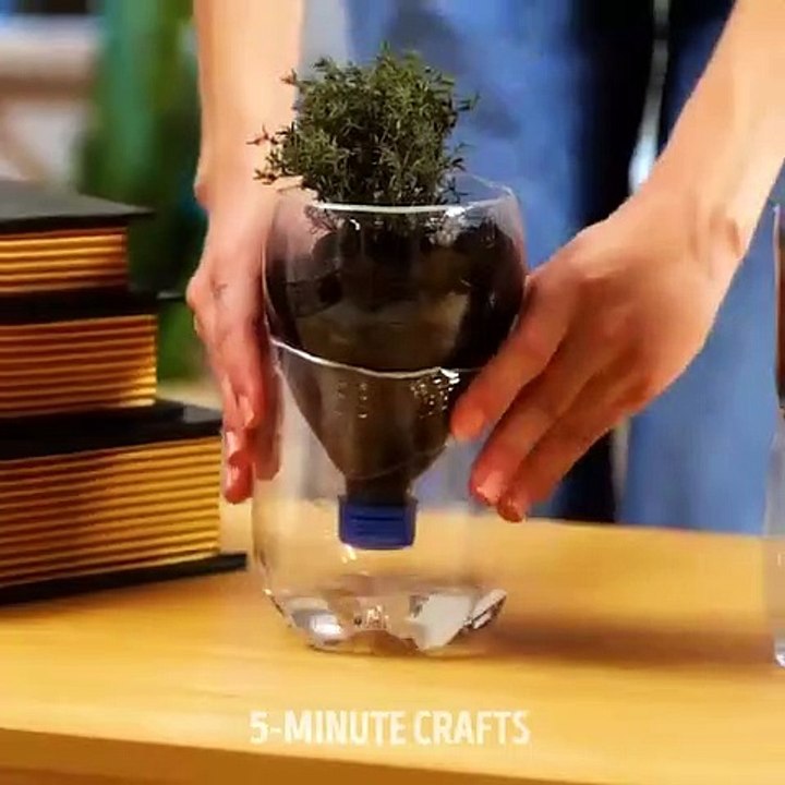 Do it YourSelf Videos 46