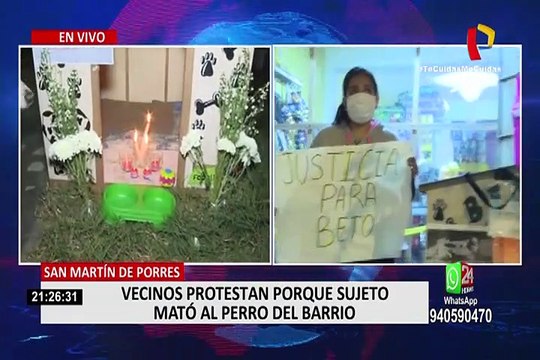 SMP: vecinos denuncian que sujeto mató de 8 puñaladas a perro y exigen justicia
