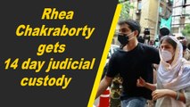 Rhea Chakraborty, Showik get another 14 days judicial custody