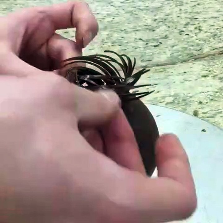 INSPIRATION CHOCOLATE