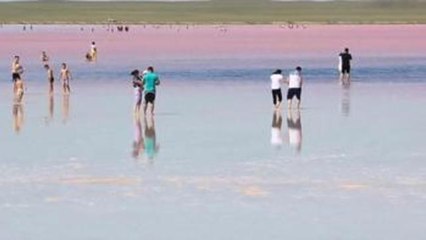 El lago Kobeytuz, la joya rosa de la estepa kazaja